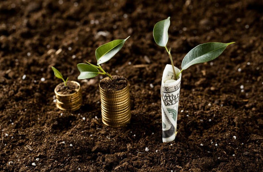 Small plants growing from stacks of coins and a rolled dollar bill symbolize the growth of wealth through compounding.
